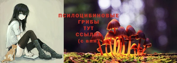 а пвп мука Каменка