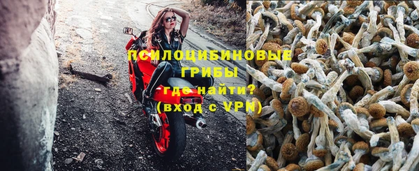 гидропоника Каменногорск