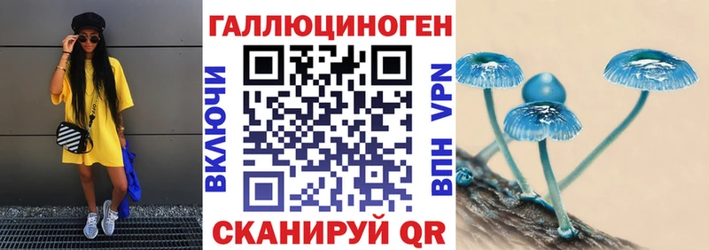 Псилоцибиновые грибы Psilocybe  Купить где  Выборг 
